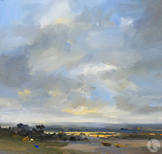 Autumn Light, Middlebere Heath, Dorset