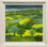 Rape Fields
