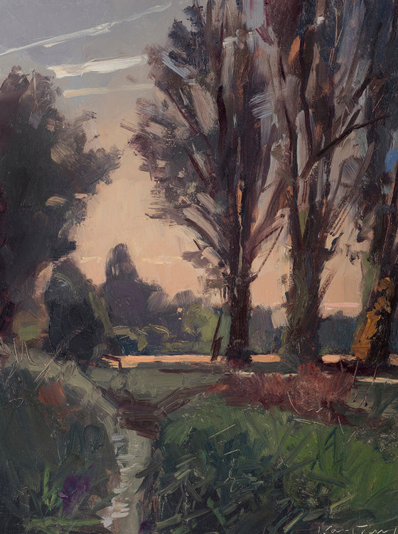 Setting Sun through the Trees