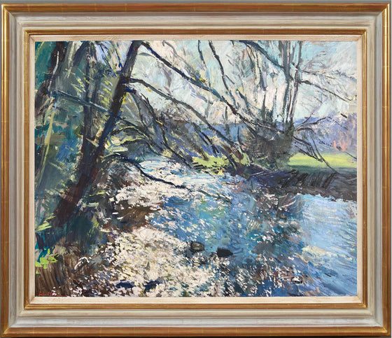 Winter Sunshine on the River Barle, Exmoor