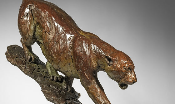 Jaguar Descent