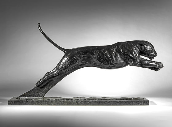 Leaping Jaguar