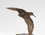 Flighting Woodcock