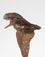 Flighting Woodcock