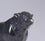 Aberdeen Angus Bull, Maquette