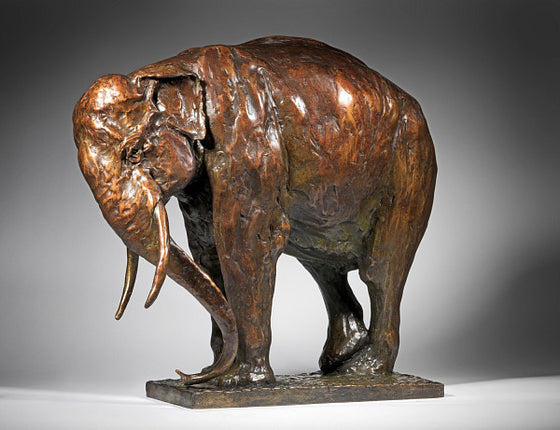 Large Standing Asian Elephant