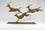 Leaping Impala