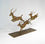 Leaping Impala