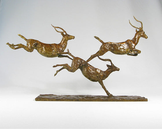 Leaping Impala