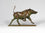 Running Warthog