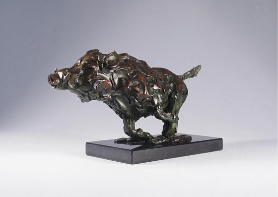 Running Wild Boar