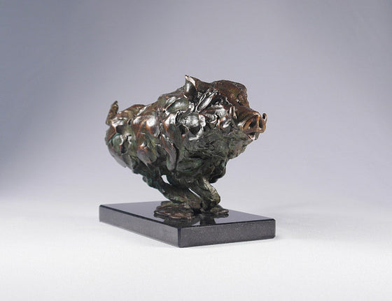 Running Wild Boar