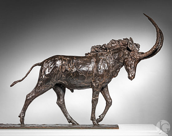 Sable Antelope