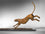 Impala and Cheetah Chase