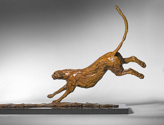 Impala and Cheetah Chase