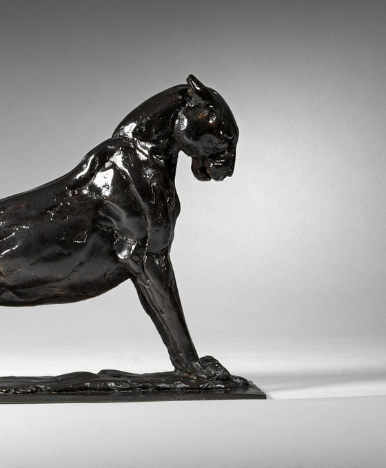 Large Stretching Panther