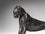 Large Stretching Panther