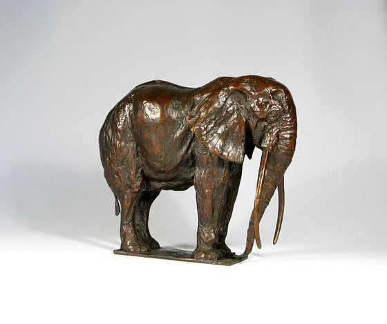 Mzee, African Elephant, Maquette