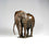 Mzee, African Elephant, Maquette