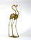 Pair of Flamingos Walking