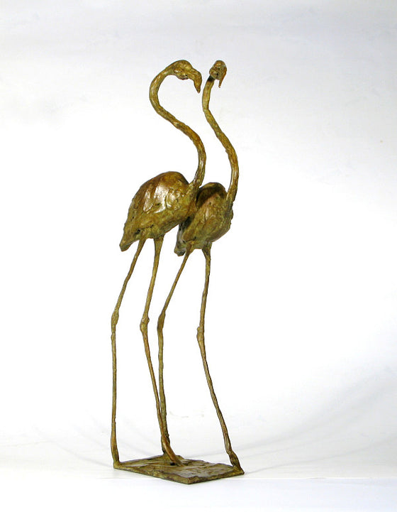 Pair of Flamingos Walking