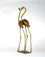 Pair of Flamingos Walking