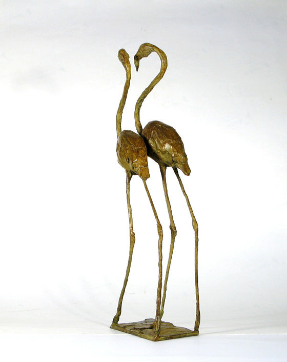 Pair of Flamingos Walking