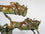 Pair of Leaping Gnu