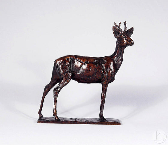 Roe Buck, Maquette