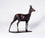 Roe Buck, Maquette