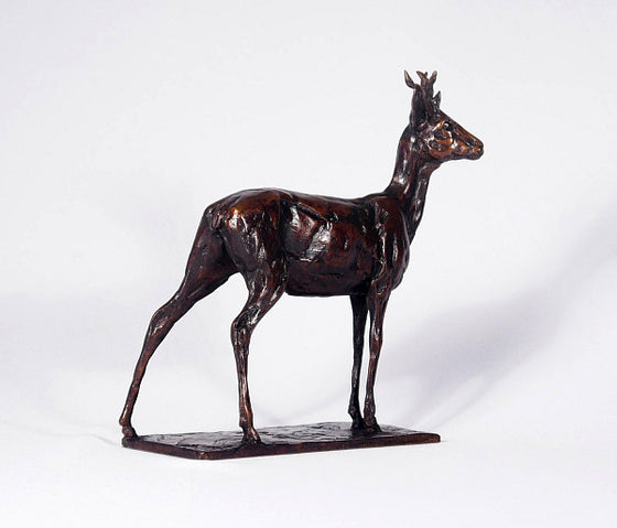 Roe Buck, Maquette