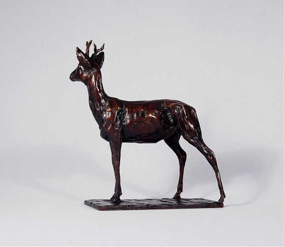 Roe Buck, Maquette