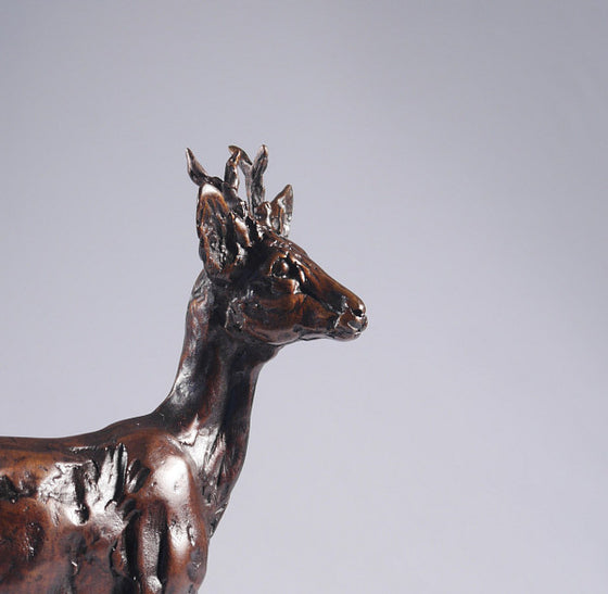 Roe Buck, Maquette