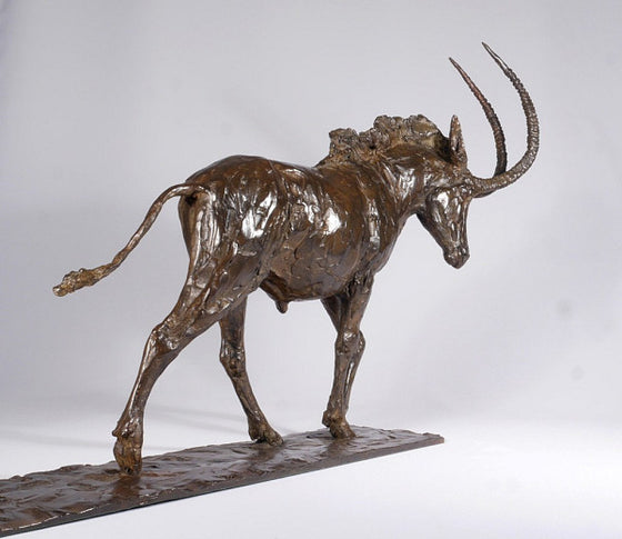 Sable Antelope