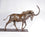 Sable Antelope