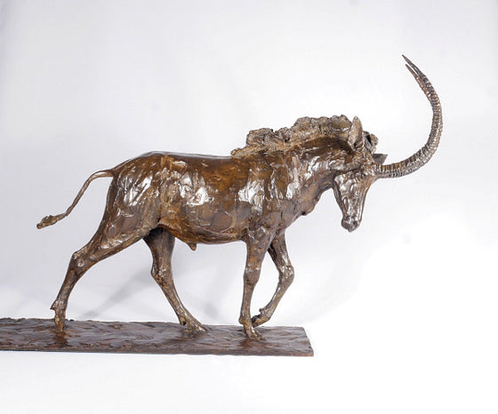 Sable Antelope