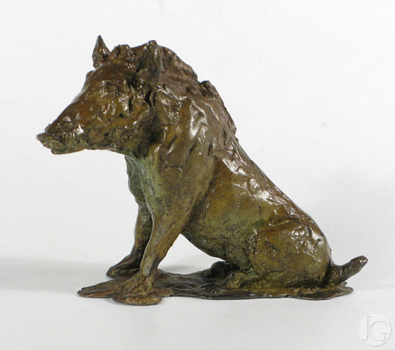Sitting Wild Boar