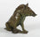Sitting Wild Boar