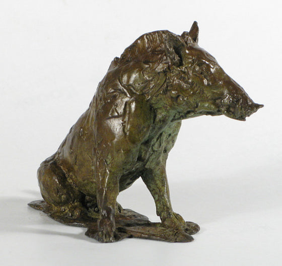 Sitting Wild Boar