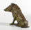 Sitting Wild Boar