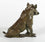Sitting Wild Boar