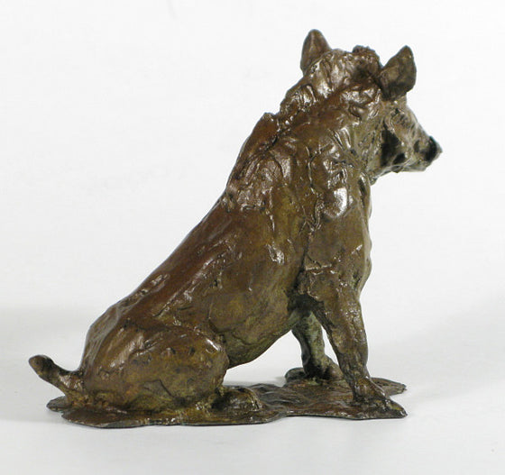 Sitting Wild Boar