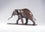 Small Stretching Asian Elephant