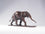 Small Stretching Asian Elephant