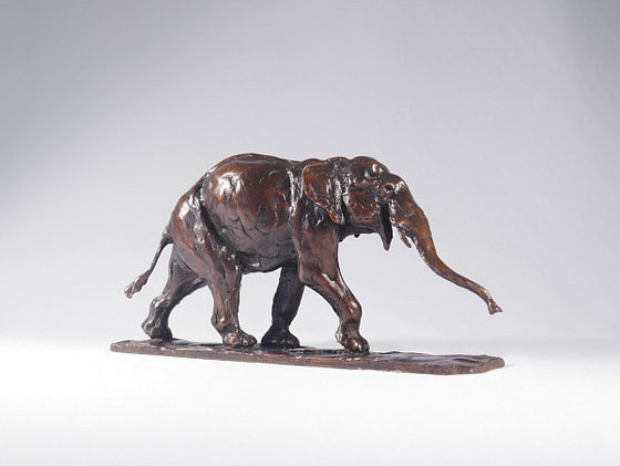 Small Stretching Asian Elephant
