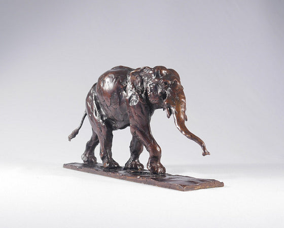 Small Stretching Asian Elephant
