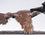 Three Grouse in Flight