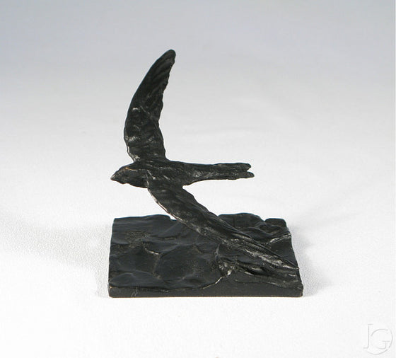 Miniature Swift in Flight