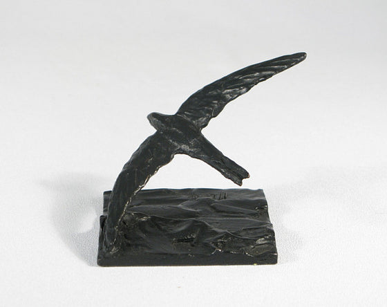 Miniature Swift in Flight