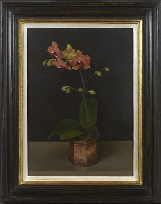 Orchid in Copper (Framed)